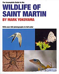 The Incomplete Guide To Wildlife Of Saint Martin The Incomplete Guide To Wildlife Of Saint Martin